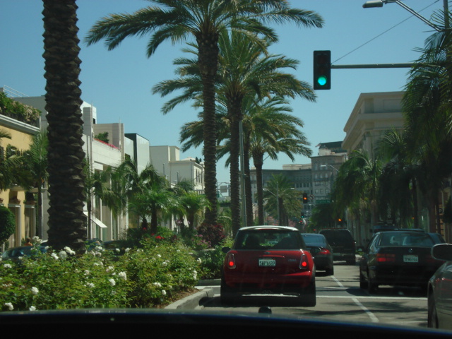 gal/2007 California/picture_235.jpg